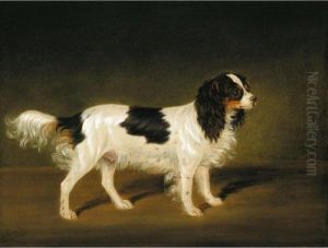 A Tricolour Cavalier King Charles Spaniel by James Loder Of Bath