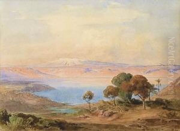 See In Karger
Gebirgslandschaft - view 1