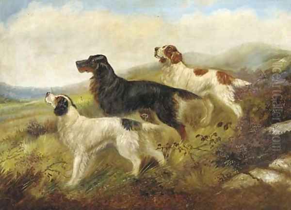 Setters on a moor - view 1