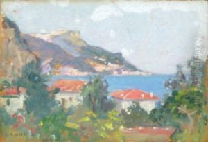 Peisaj La Balcic