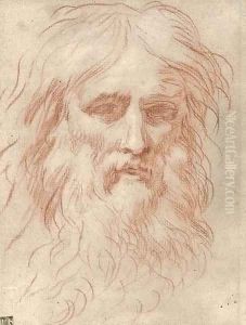 Head of a bearded man by Simone Cantarini (Pesarese)