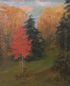 Autumn Landscape