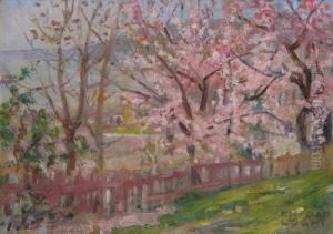 Spring