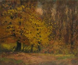 Autumn Landscape
