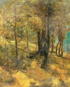 Forest In Winter