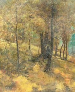 Forest In Autumn