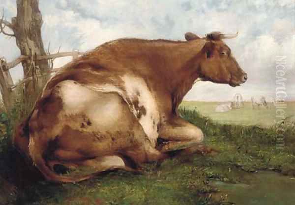 The recumbent cow - view 1