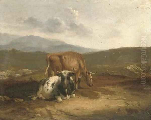 Cattle in an extensive landscape - view 1