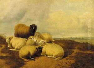 Sheep resting in a meadow 3 by Thomas Sidney Cooper