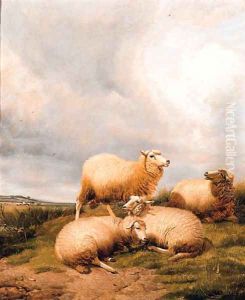 Sheep Resting In A Meadow 2 by Thomas Sidney Cooper