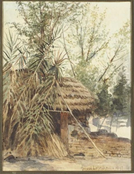 Cabin In The Woods, Santa Marta - view 1