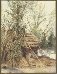 Cabin In The Woods, Santa Marta by August Lohr