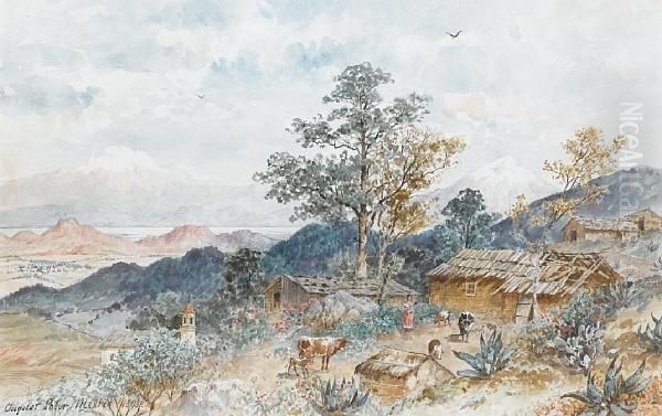 A Mexican Farmstead - view 1