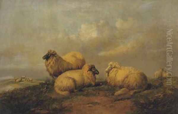 Sheep resting on the moors - view 1