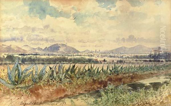 Volcan Y Magueyes - view 1