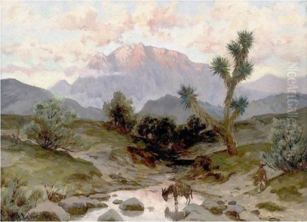 Paisaje Mexicano - view 1