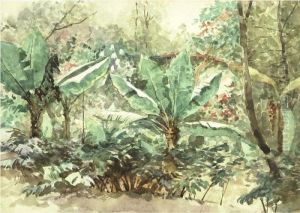 Banana Trees by August Lohr