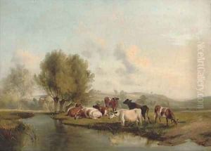Cattle grazing on the bank of a river Cattle grazing on the bank of a river