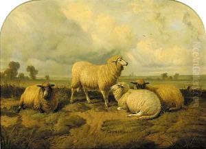 Sheep in a meadow by Thomas Sidney Cooper