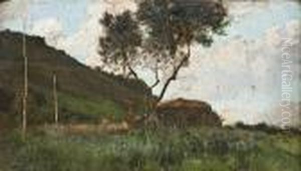 Paesaggio - view 1