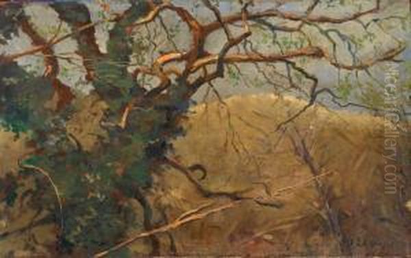 Paesaggio - view 1