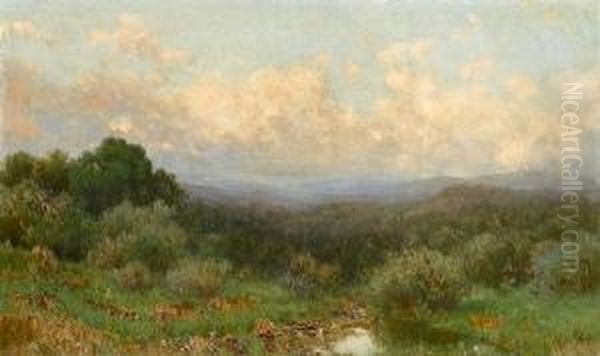 Marsh Landscape - view 1