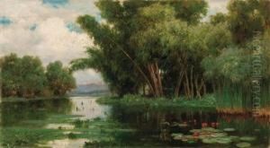 Paesaggio Lacustre Paesaggio Lacustre