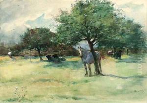 Horses and cattle resting beneath shade in an open landscape