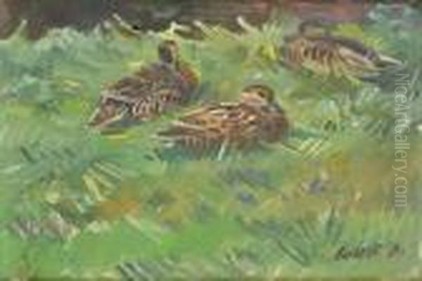 Ducks - view 1