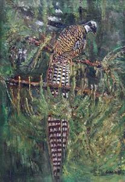 Pheasant - view 1