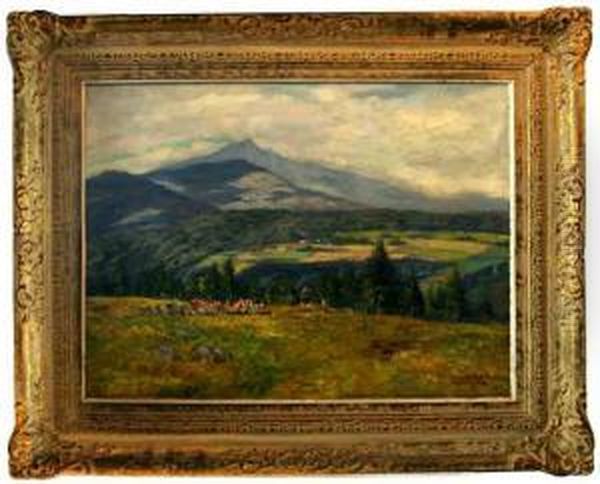 Podhorska Pastvina - view 1