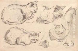 Studies of cats by Auguste-Joseph Carrier