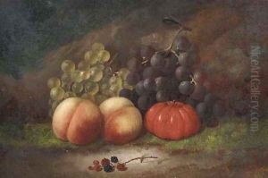 Grapes, blackberries, peaches and a tomato on a mossy bank Grapes, blackberries, peaches and a tomato on a mossy bank