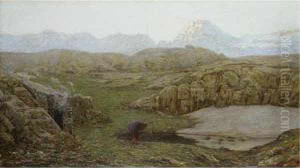 Alba - view 1