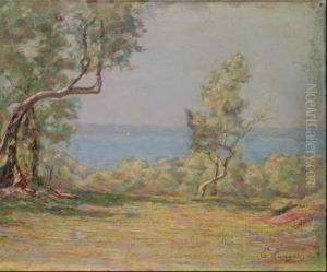 Ulivi Sul Garda