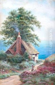 A Cottage By The Sea
