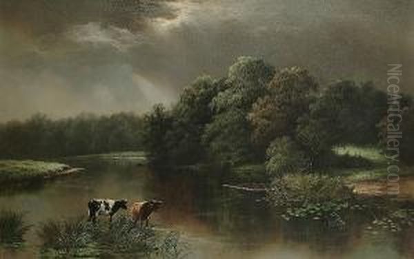 Cattle Watering In An Extensive River Landscape - view 1