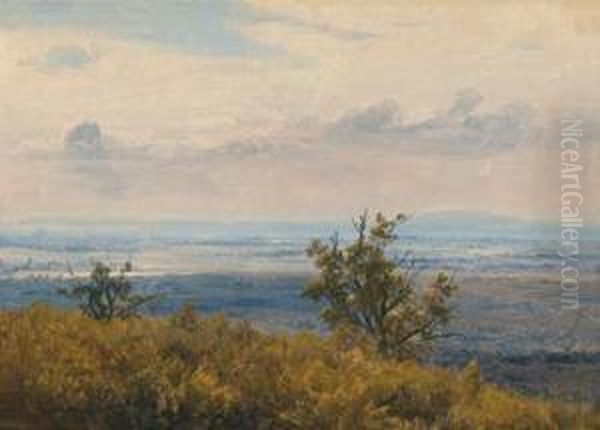 Attributed Danube Landscape - view 1