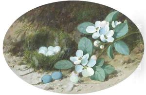 Apple blossom and a bird's nest on a mossy bank by William Cruickshank