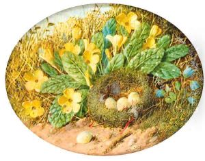 Primroses, hairbells and a bird's nest on a mossy bank by William Cruickshank