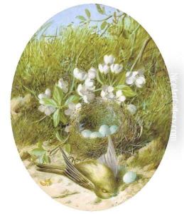 Still life of blossom, a bird and a bird's nest by William Cruickshank