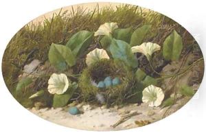 Convolvulus and a bird's nest on a mossy bank by William Cruickshank