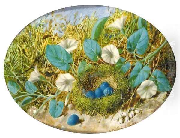Still Life with a Birds Nest and Eggs - view 1