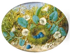 Still Life with a Birds Nest and Eggs