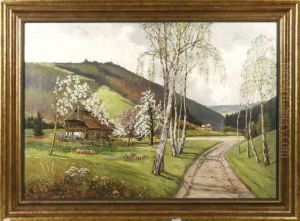 Fruhling Im Schwarzwald