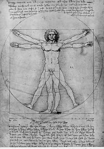 Vitruvian Man, Study of proportions, from Vitruvius's De Architectura
