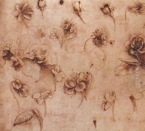 Flower Studies