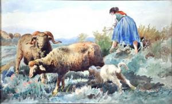 Contadina Con Pecore - view 1
