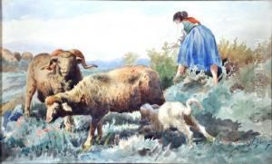 Contadina Con Pecore