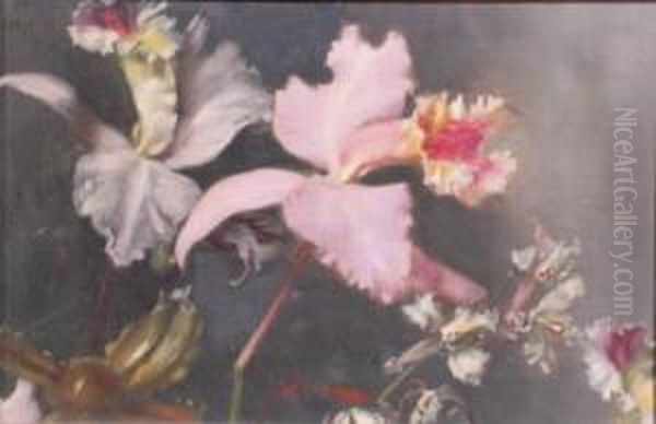 Irises - view 1